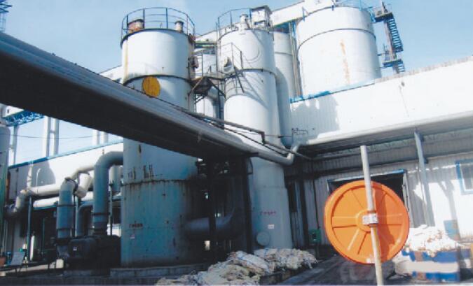 山東東平瑞星集團